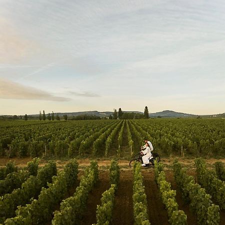 Como Le Montrachet Puligny-Montrachet Exteriör bild