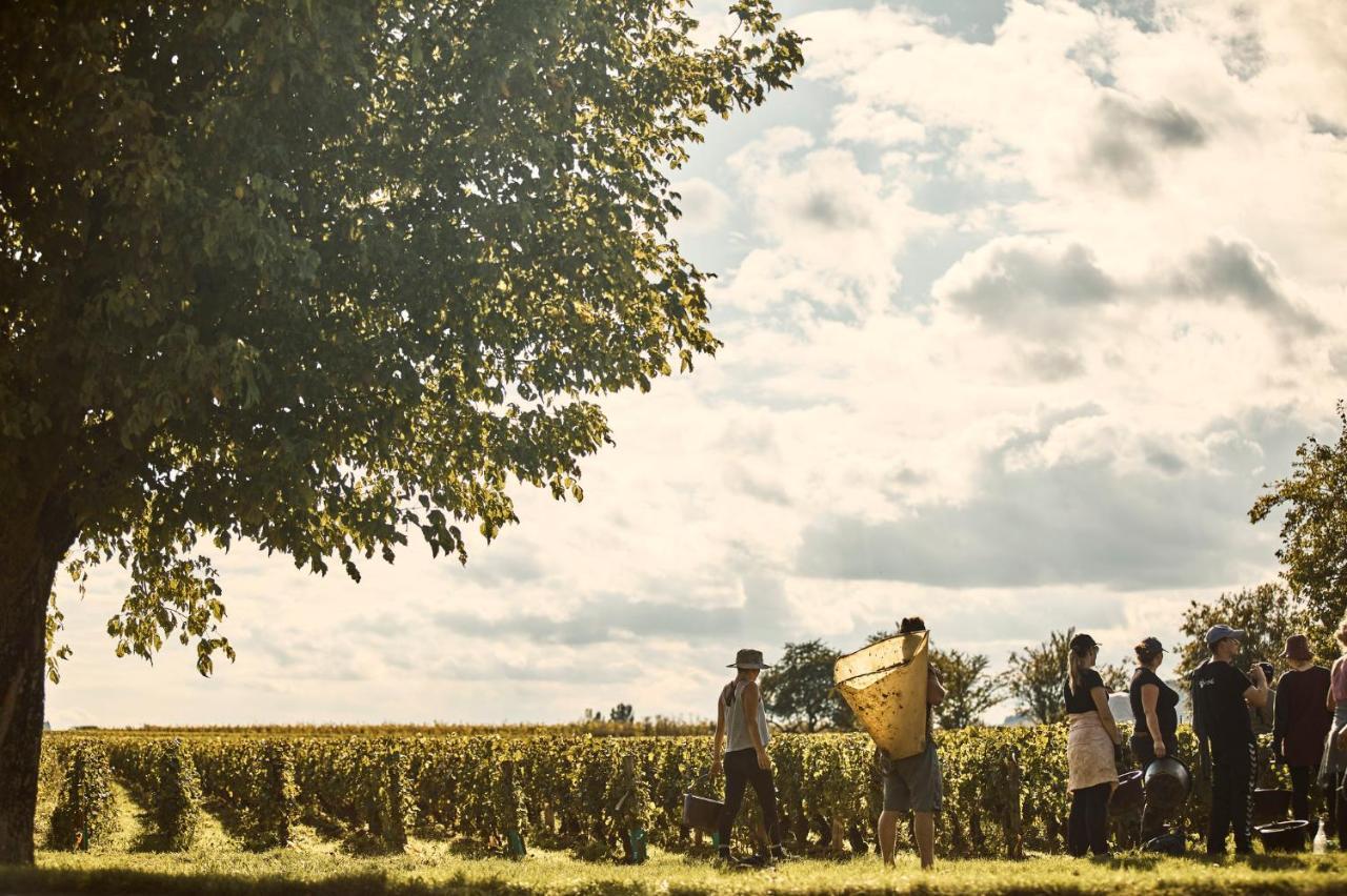 Como Le Montrachet Puligny-Montrachet Exteriör bild