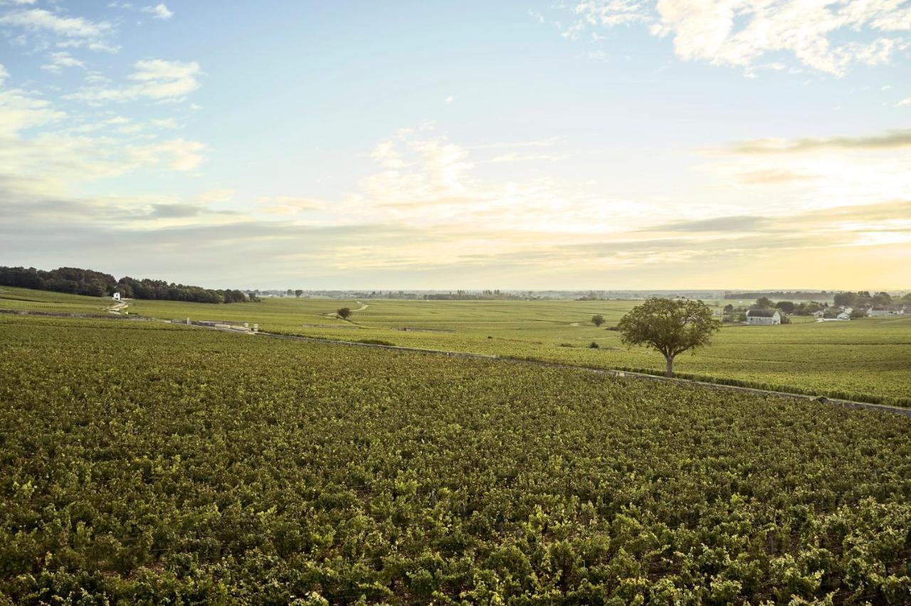 Como Le Montrachet Puligny-Montrachet Exteriör bild