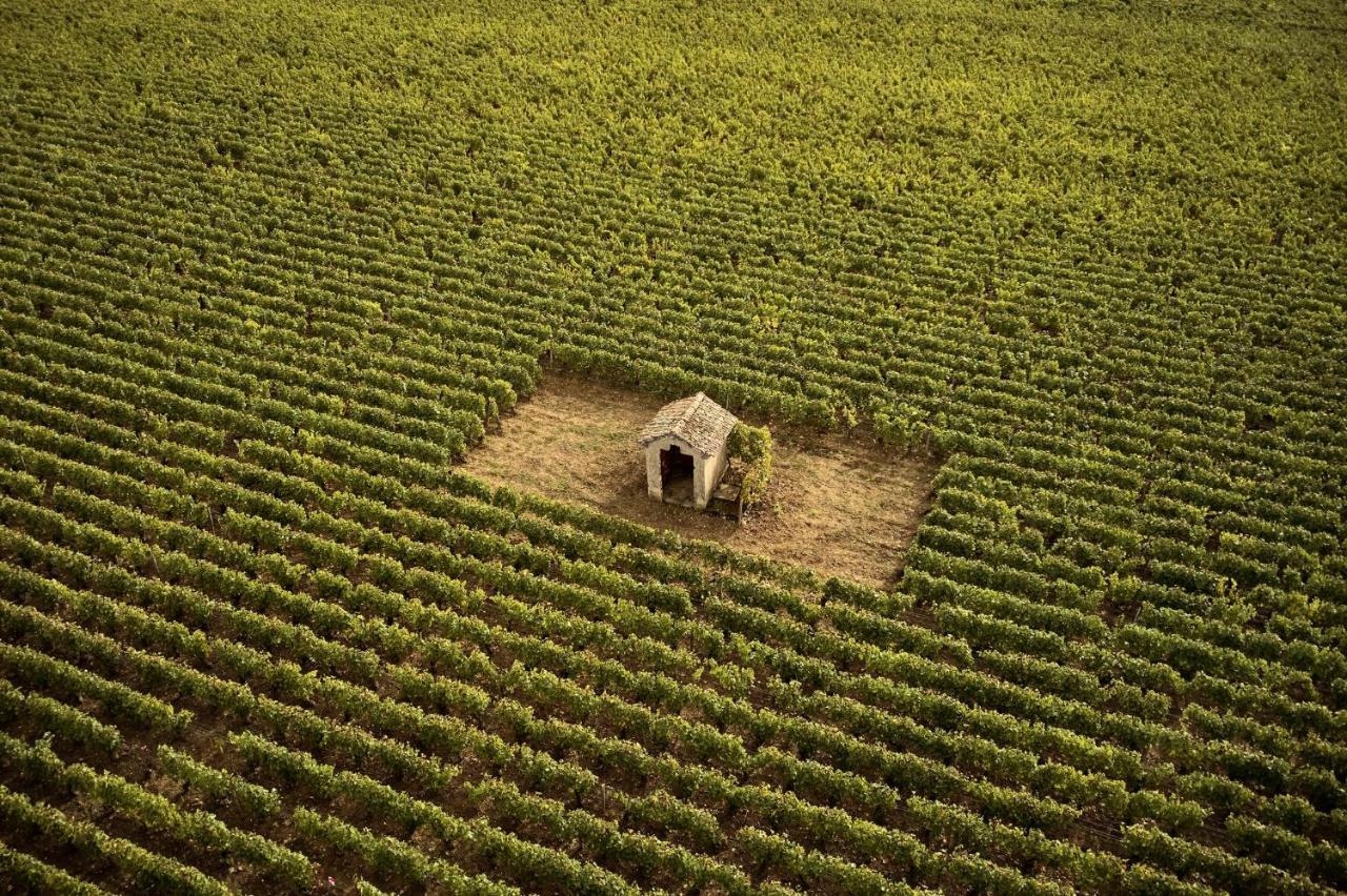 Como Le Montrachet Puligny-Montrachet Exteriör bild