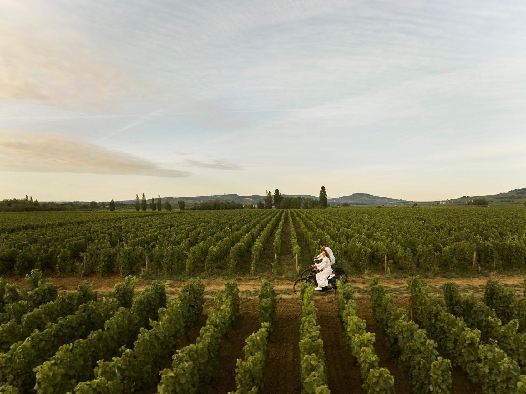 Como Le Montrachet Puligny-Montrachet Exteriör bild